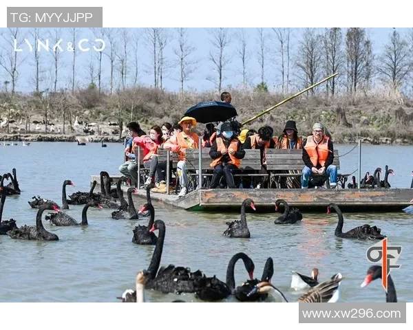 周磊专访：畅谈飞盘运动的发展与个人成长历程