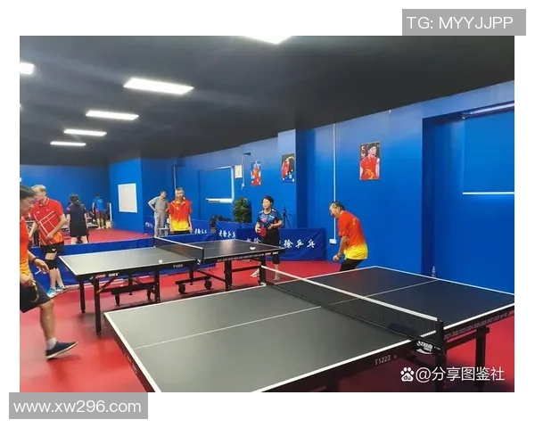 杭州乒乓球队战术深度解析与未来发展方向探讨